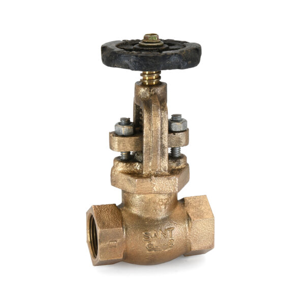 Bronze Globe Valve
